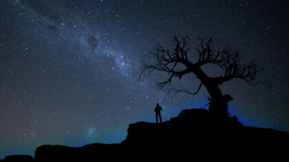 Silhouette of man and tree under the Milky Way