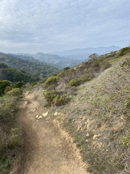 Hiking path up in the green hills.