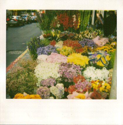 Spectacular curbside flower garden