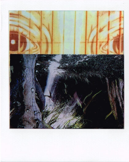 Two Pictures. The top one shows fearful eyes. The bottom one shows a dark and earie forest.