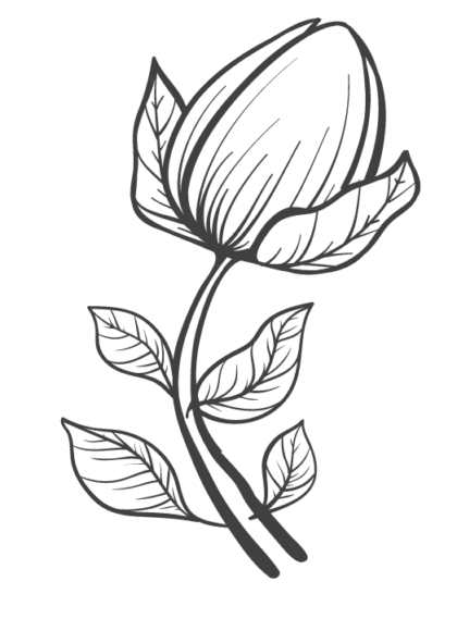 color book style drawing of a rosebud