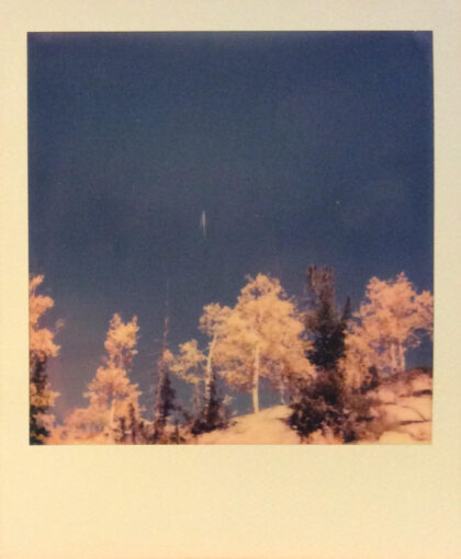 polaroid photo of aspen trees against a dark blue sky