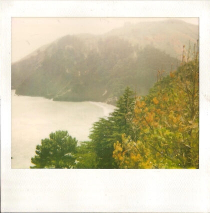 polaroid photo looking sown past trees into a rocky inlet
