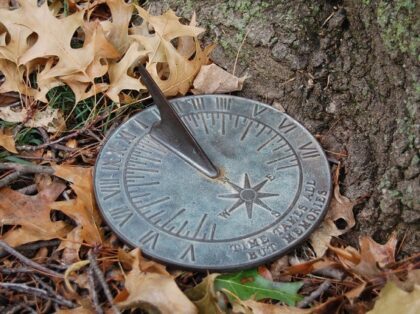 Sundial on forest floor